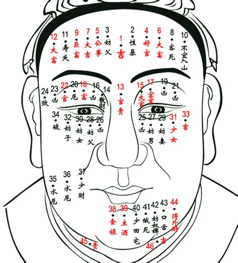 頭頂 有痣|分析頭頂痣相圖解